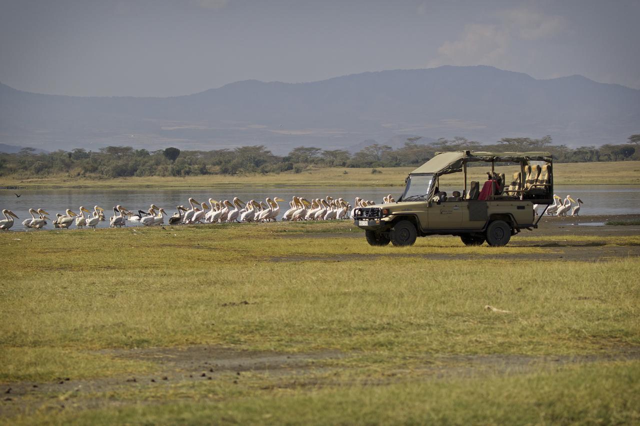 Mbweha Camp Lake Nakuru Elmenteita Exterior foto